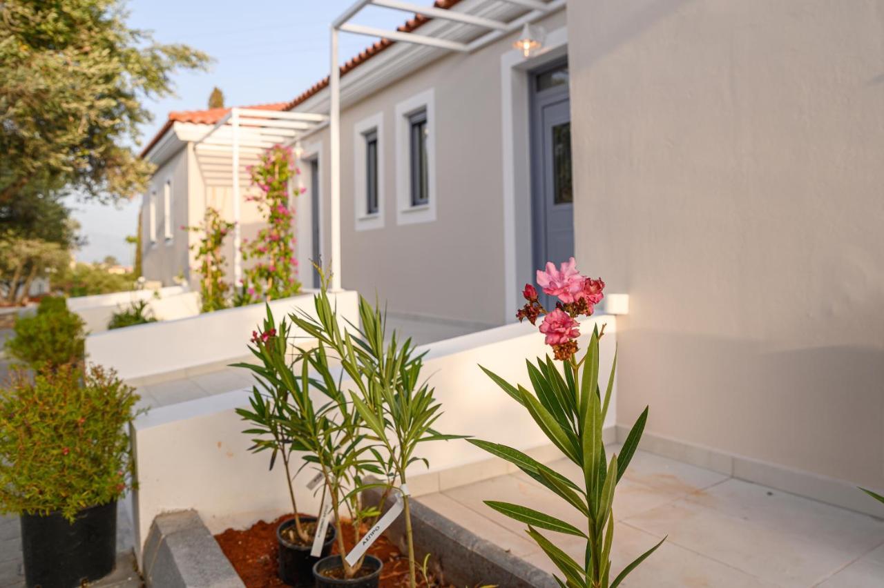 Dionisos Suites ليكسوري المظهر الخارجي الصورة